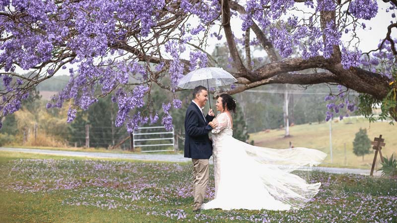 Couple-standing-under-Jacaranda-tree-in-bloo