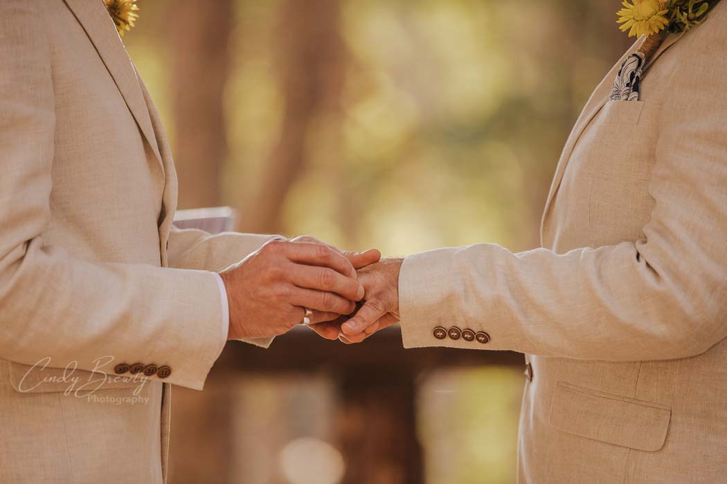 Gay couple exchanging rings