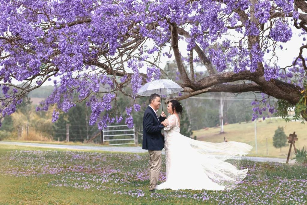 Wedding couple portrait with umbrella under the jacaranda tree