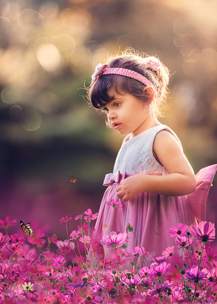 family photo of little girl in flowers with butterfly